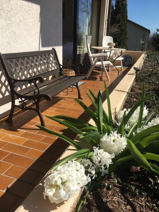 Exklusives Apartment In Bad Saeckingen Fuer 2 Person Buitenkant foto